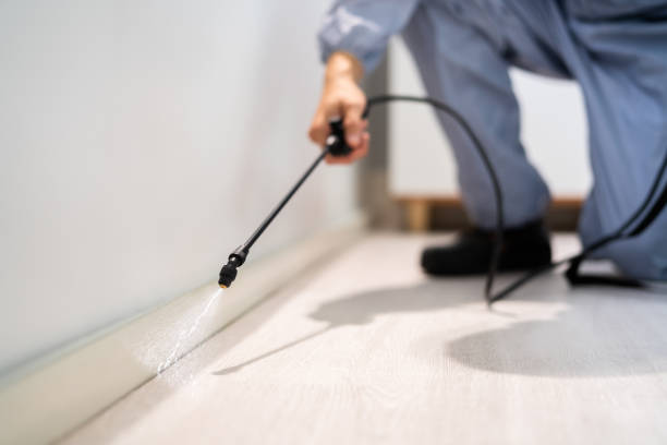 Certified termite inspector examining foundation in Belfair