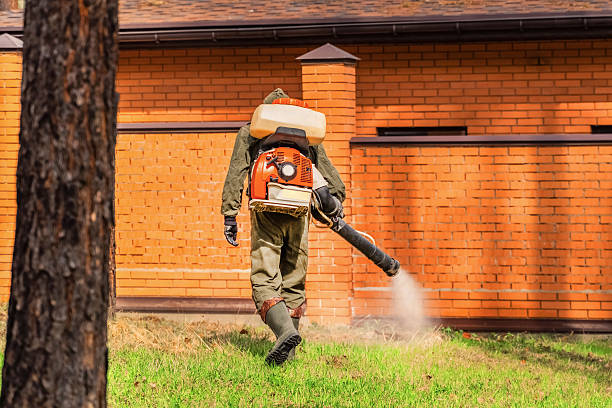 Bed Bug Clearance Verification and Documentation in Belfair